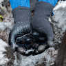 Водонепроницаемые перчатки DEXSHELL THERMFIT 3.0 оливковый M DG12402OGHM